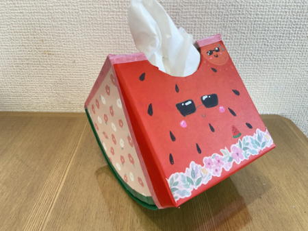 かわいいスイカのティッシュボックス (1)
