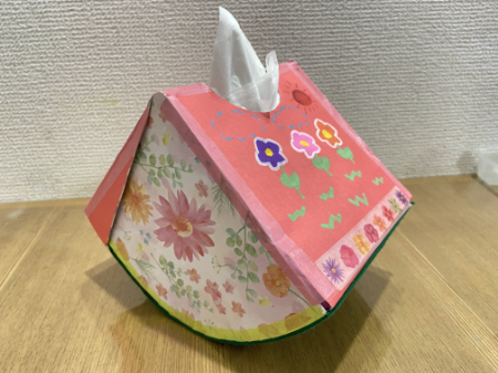 かわいいスイカのティッシュボックス (11)