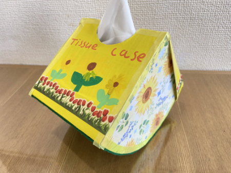 かわいいスイカのティッシュボックス (13)