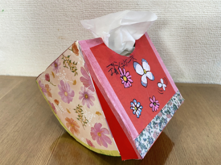 かわいいスイカのティッシュボックス (14)