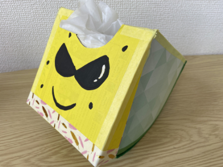 かわいいスイカのティッシュボックス (15)