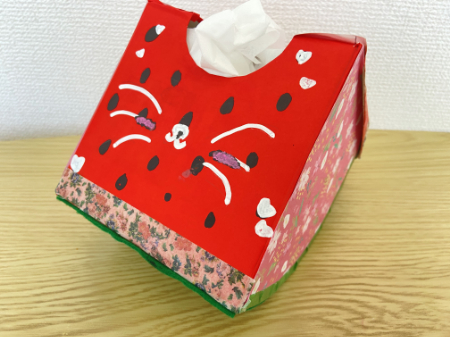 かわいいスイカのティッシュボックス (17)