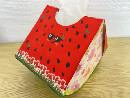 かわいいスイカのティッシュボックス (18)