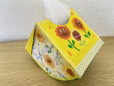 かわいいスイカのティッシュボックス (19)
