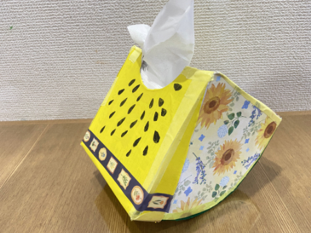 かわいいスイカのティッシュボックス (4)