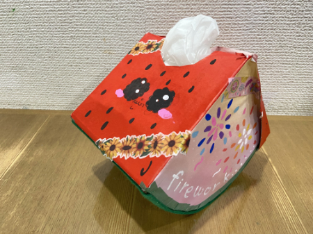 かわいいスイカのティッシュボックス (5)