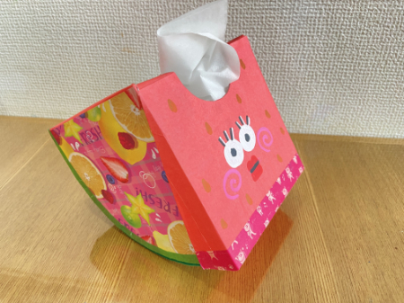 かわいいスイカのティッシュボックス (8)