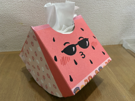かわいいスイカのティッシュボックス (10)